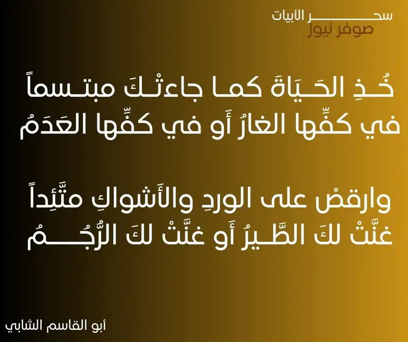 تَرجو السَّعادَةَ يا قلبي ولو وُجِدَتْ