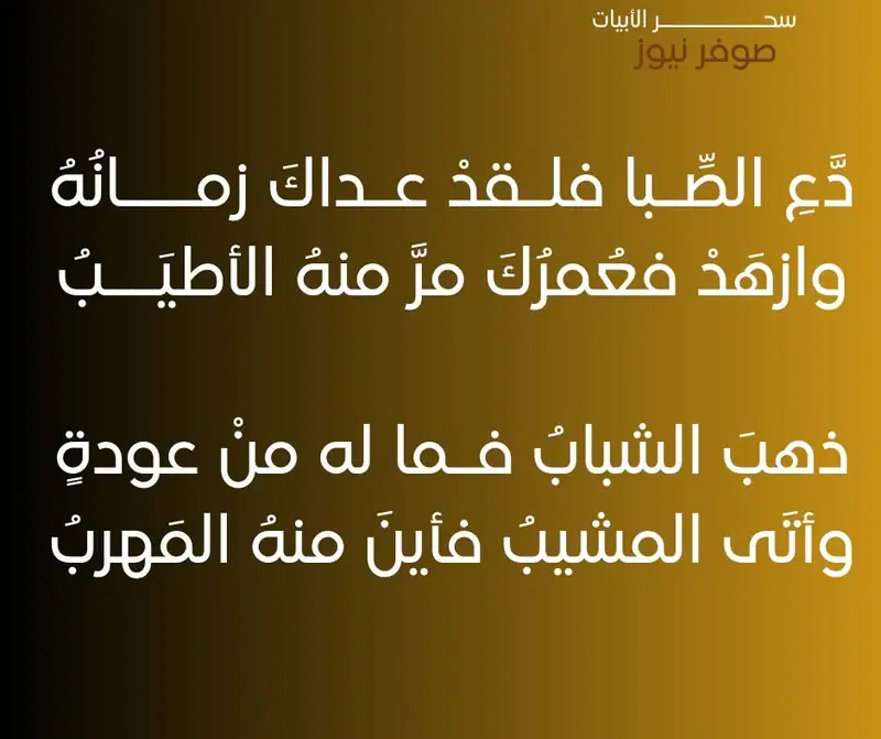 القصيدة التي لم يشتهر منها غير بيت واحد