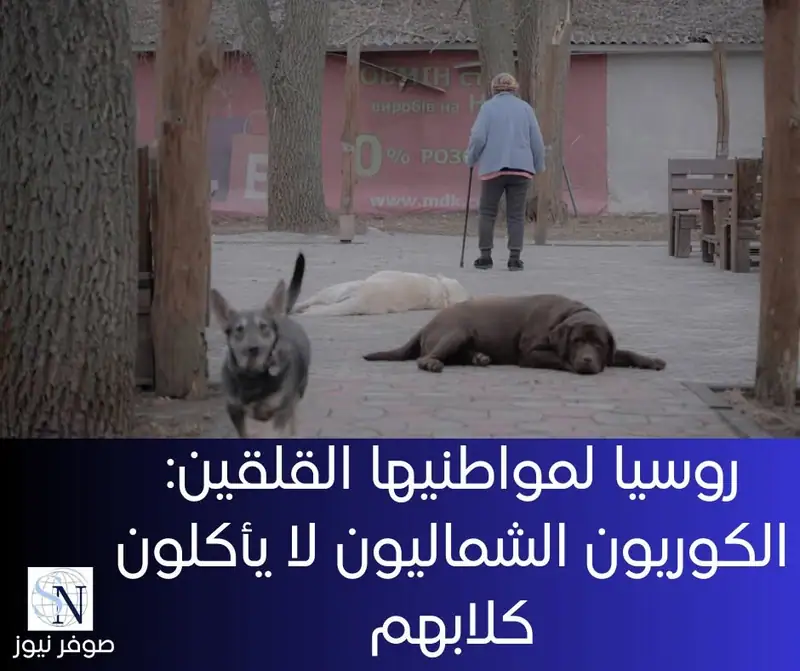 بعدما صدرت عدة تقارير عن اختفاء الحيوانات الأليفة