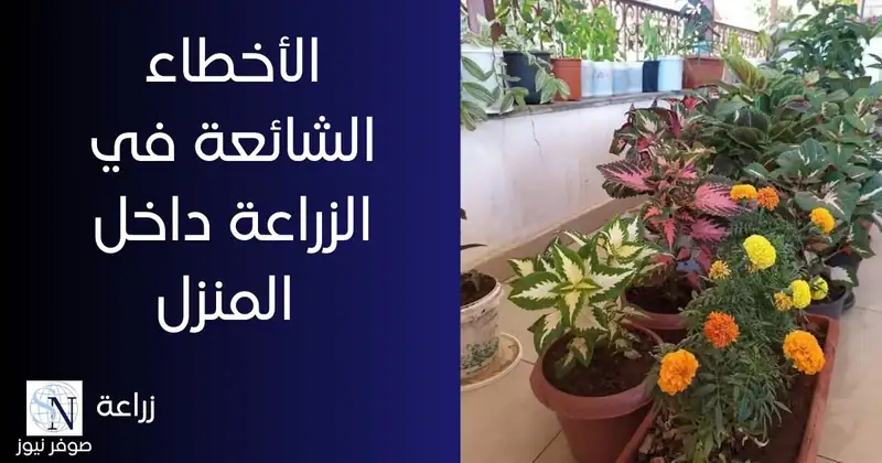 1-سقي النباتات بكميات زائدة من الماء أكثر من حاجتها الفعلية.