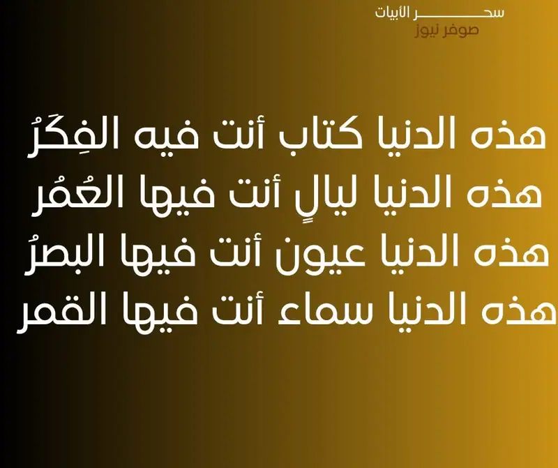 هذه الدنيا كتاب