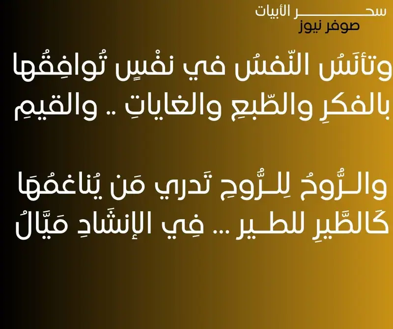 من روائع الشعر العربي من صوفر نيوز