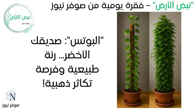 نبض الأرض – من صوفر نيوز | "البوتس": صديقك الأخضر... رئة طبيعية وفرصة تكاثر ذهبية! 🌿💨💰