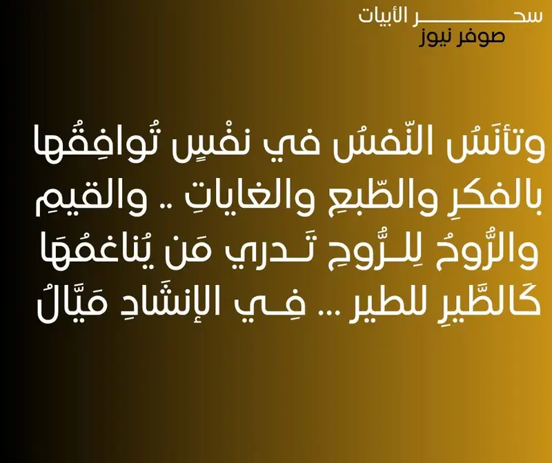 روائع الشعر العربي من سحر الابيات