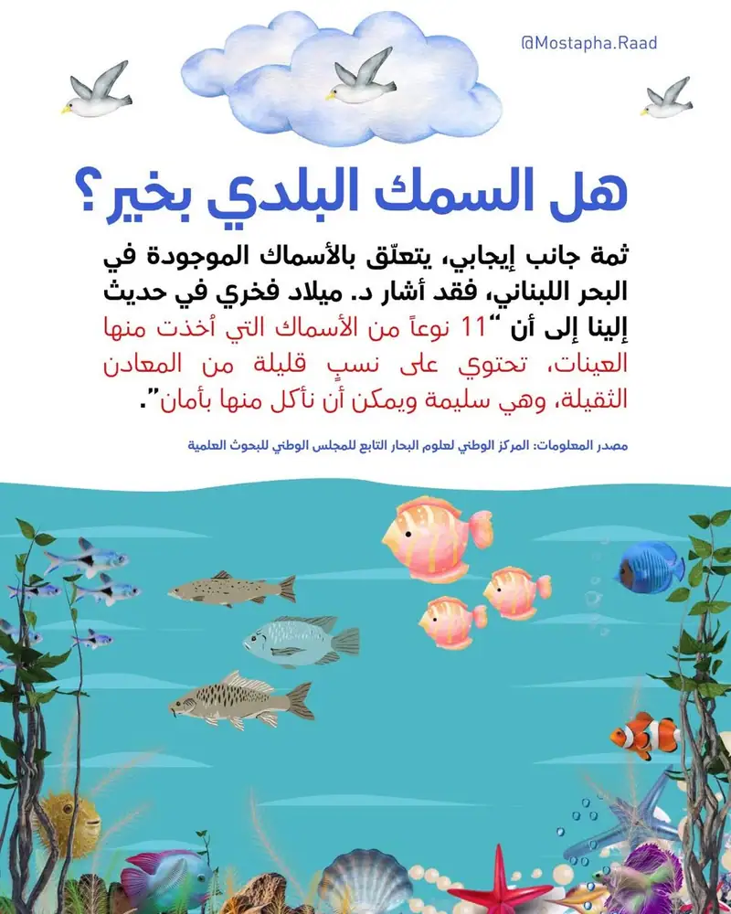 الشواطىء اللبنانية الصالحة للسباحة