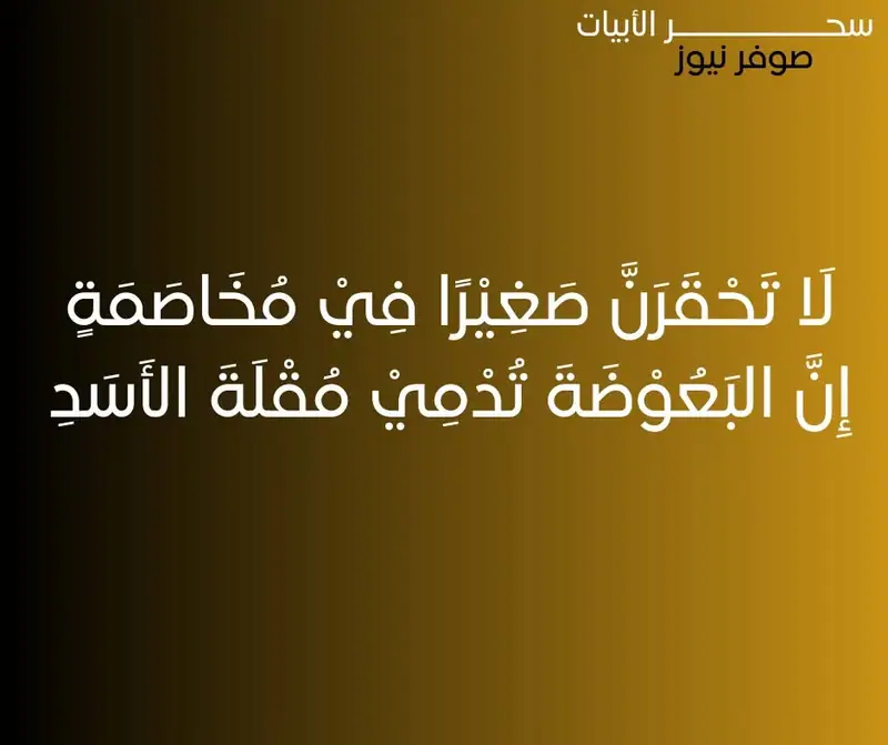 لَا تَحْقَرَنَّ صَغِيْرًا فِيْ مُخَاصَمَةٍ.....إِنَّ البَعُوْضَةَ تُدْمِيْ مُقْلَةَ الأَسَدِ