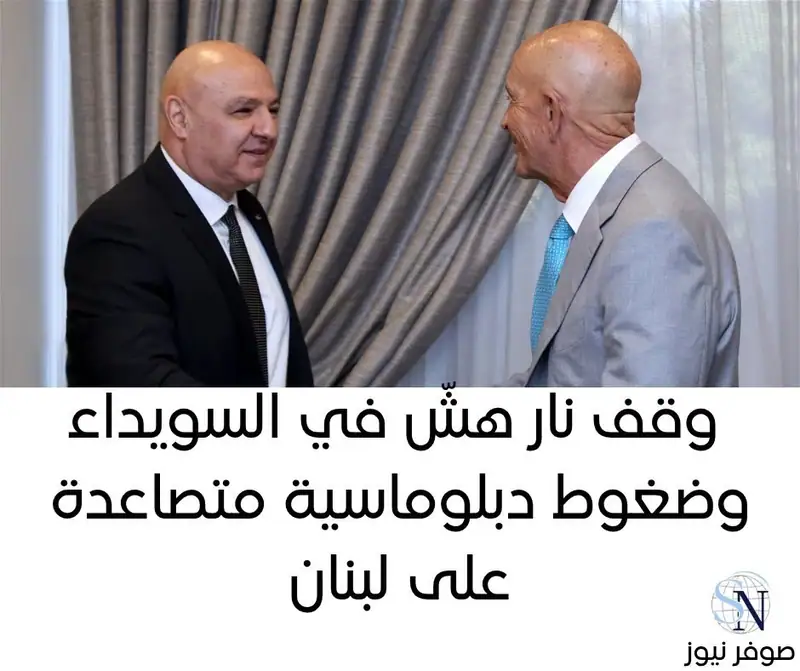 صوفر نيوز | قسم الشؤون السياسية والأمنية