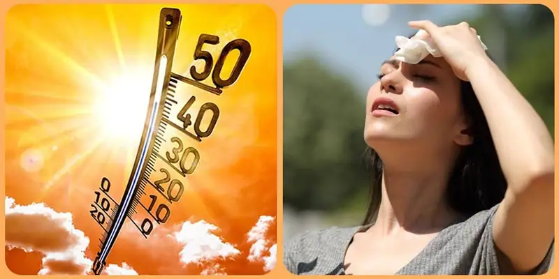 صوفر نيوز – إرشادات لمواجهة موجة الحر