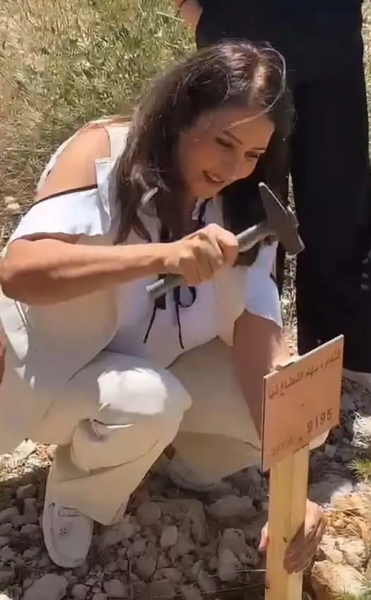 صوفر نيوز – مشاهير
