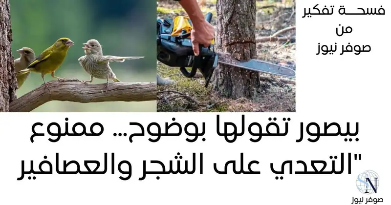 صوفر نيوز | فسحة وعي بيئية