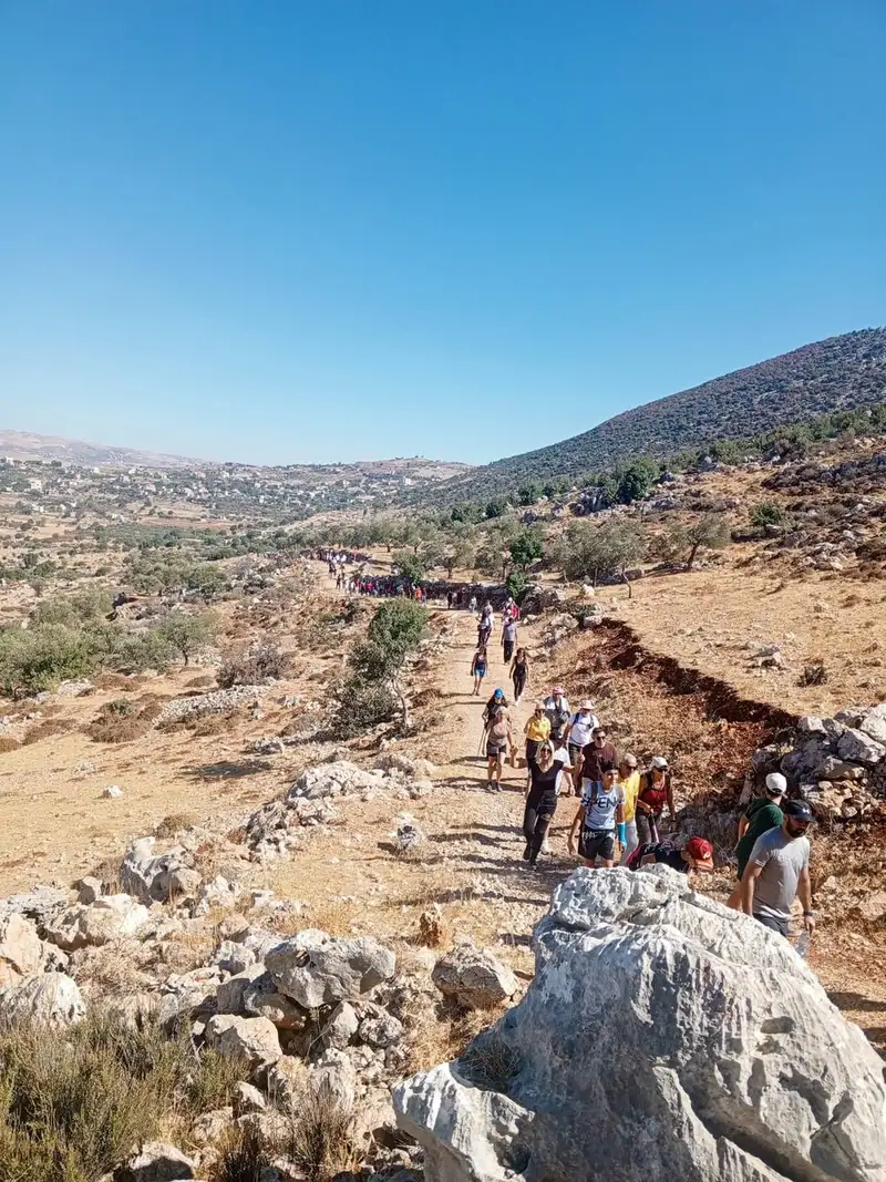 صوفر نيوز - بكيفه