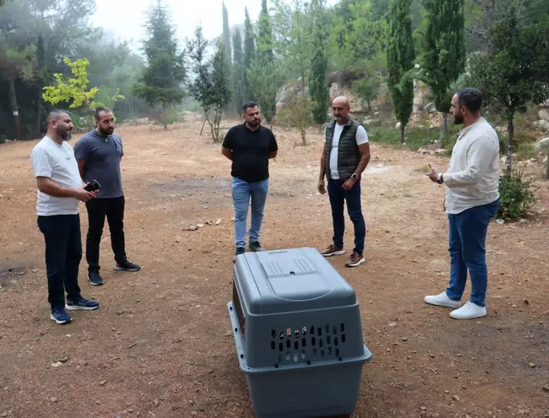 صوفر نيوز – بيصور
