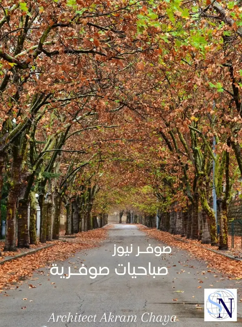 صباحيات صوفرية