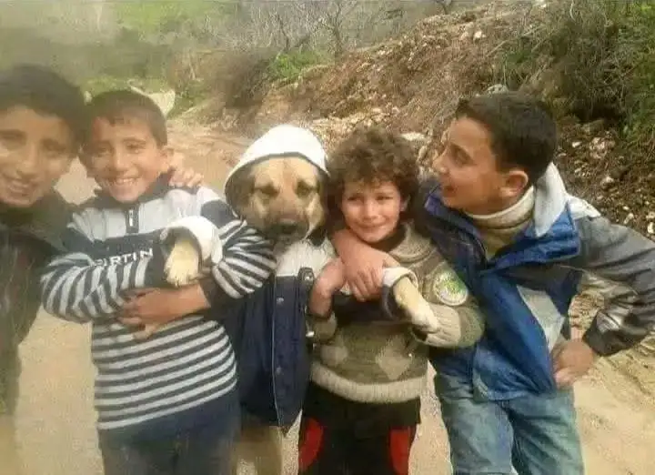 تظهر الصورة مجموعة من الأطفال وهم يحتضنون كلبًا