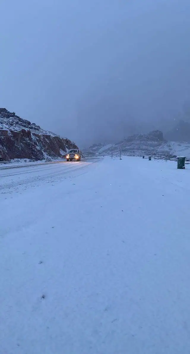 صوفر نيوز – منوعات