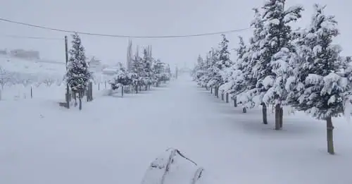 حسب ما ذكرت غرفة التحكم المروري في لبنان، الطرق الجبلية المقطوعة بسبب تراكم الثلوج هي