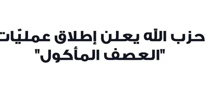ح.زب الله يعلن إطلاق عمليّات "العصف المأكول"