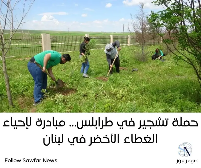 حملة تشجير في طرابلس… مبادرة لإحياء الغطاء الأخضر في لبنان