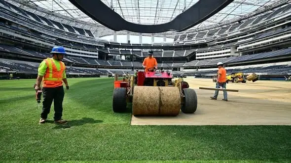 عشب ملاعب كأس العالم ثمرة عقود من البحث والدراسة