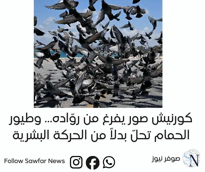 كورنيش صور يفرغ من روّاده… وطيور الحمام تحلّ بدلاً من الحركة البشرية