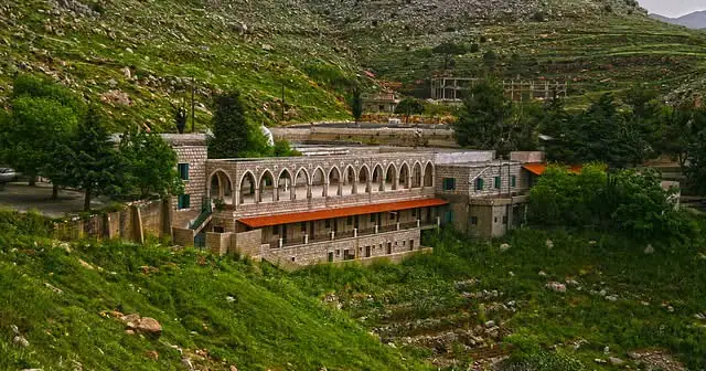 شارون... حين يهمس الجبل بأسماء أحبّته
