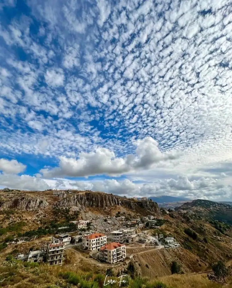 شارون... حين يهمس الجبل بأسماء أحبّته