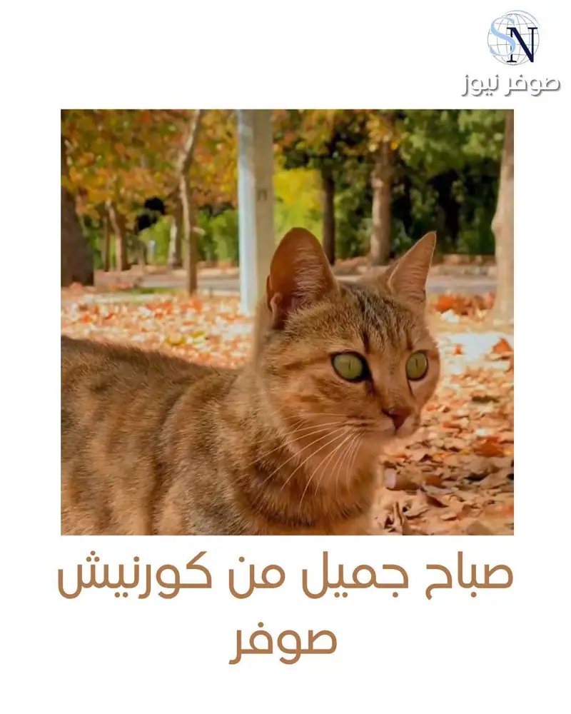 تكتمل روعة المكان في صوفر حين تلتقي ألوان الطبيعة الذهبية مع هدوء المكان وسكانه