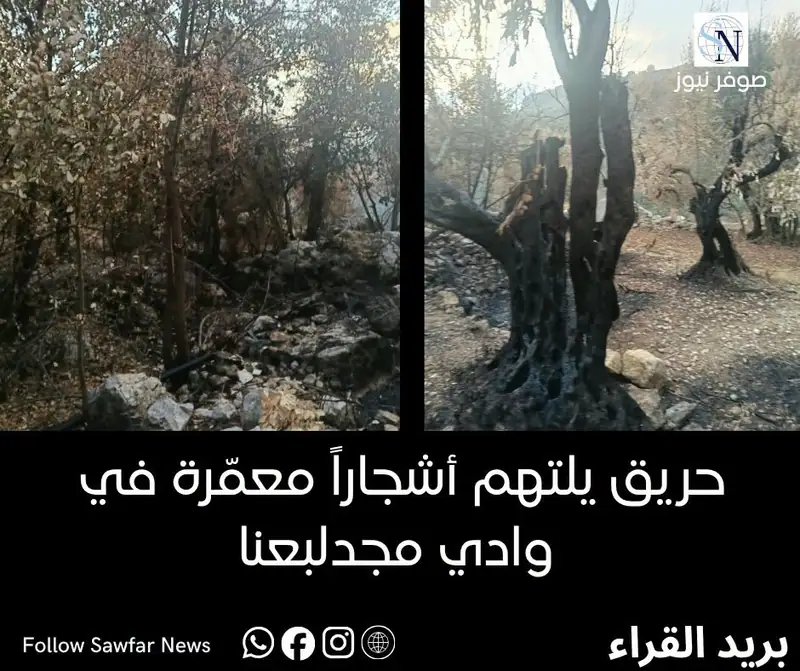 بريد القراء | حريق يلتهم أشجاراً معمّرة في وادي مجدلبعنا