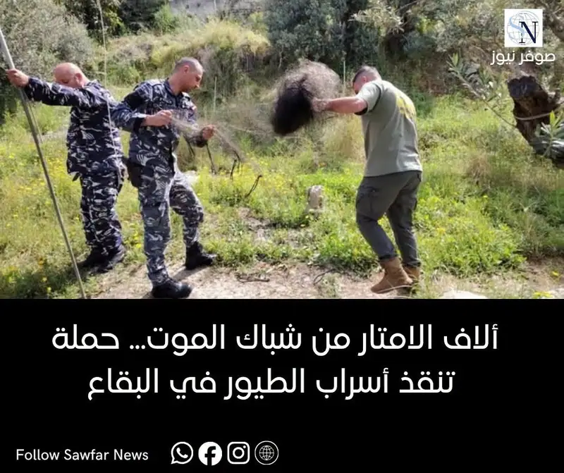 20 ألف متر من شباك الموت... حملة تنقذ أسراب الطيور في البقاع