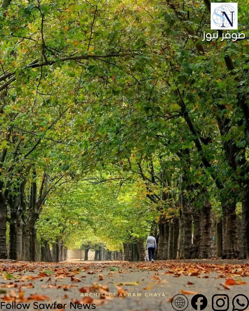 صباح صوفر | الأول من تشرين الأول